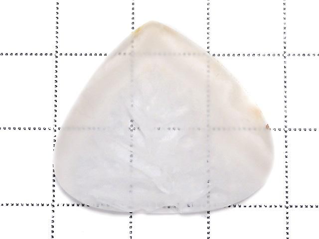 ưۡ1Ρۥꥹ 롼 1 NO.7β-2