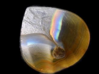 ưۡ1Ρۥꥹ 롼 1 NO.9