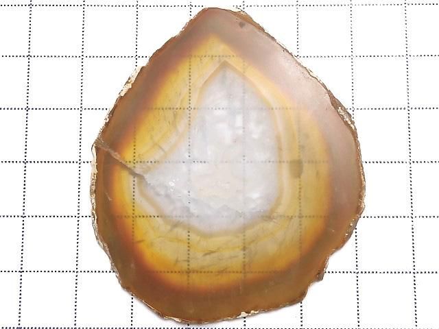 ưۡ1Ρۥꥹ 饤 1 NO.203β-2