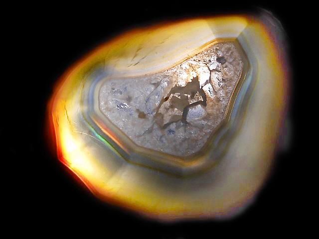 ưۡ1Ρۥꥹ 饤 1 NO.204β