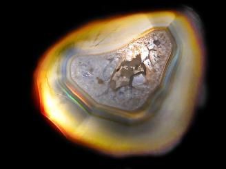 ưۡ1Ρۥꥹ 饤 1 NO.204