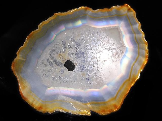 ưۡ1Ρۥꥹ 饤 1 NO.207β