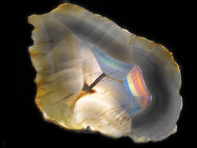 ưۡ1Ρۥꥹ 饤 1 NO.208β