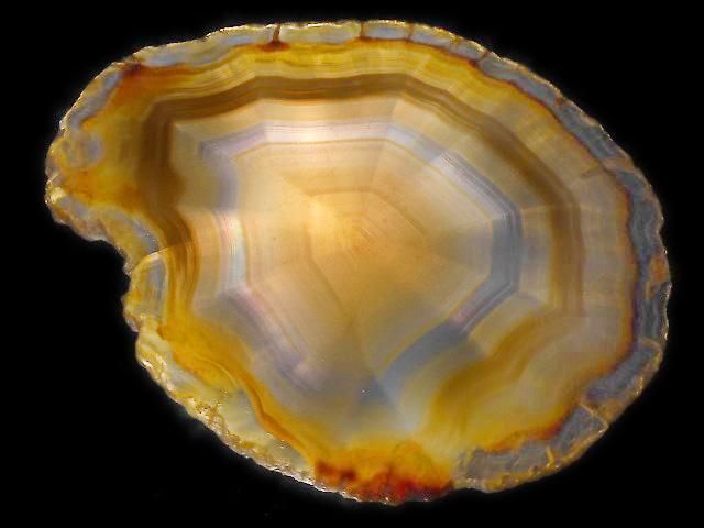 ưۡ1Ρۥꥹ 饤 1 NO.210β