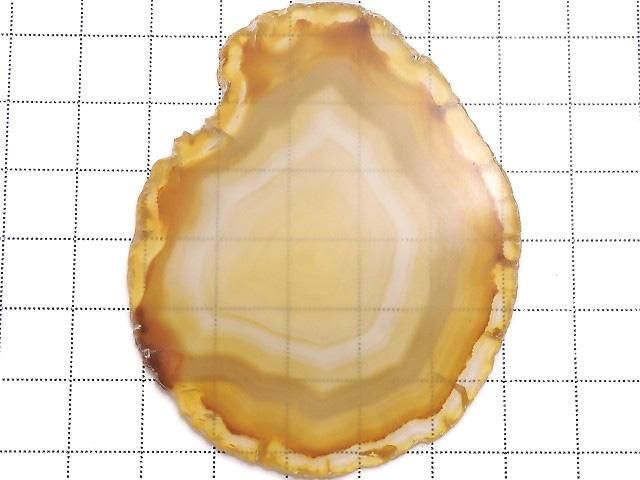 ưۡ1Ρۥꥹ 饤 1 NO.210β-2