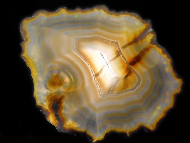 ưۡ1Ρۥꥹ 饤 1 NO.211β