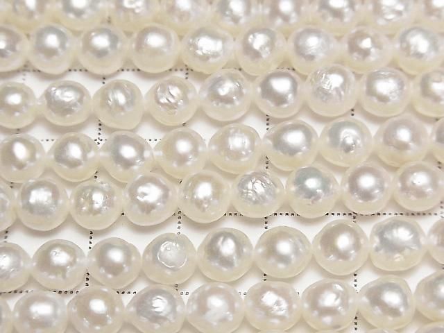 ưø忿AA ʥ饦6~7mm ۥ磻 1Ϣ(38cm)β-2