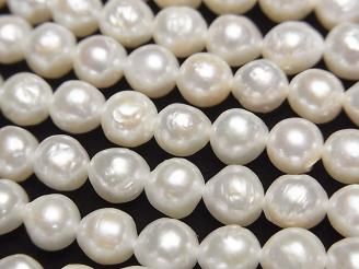 ưø忿AA ʥ饦6~7mm ۥ磻 1Ϣ(38cm)