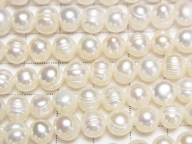 ��ư���ø�忿��AA ������ݥƥ�7~9mm �ۥ磻�� 1Ϣ(��33cm)�β���-2