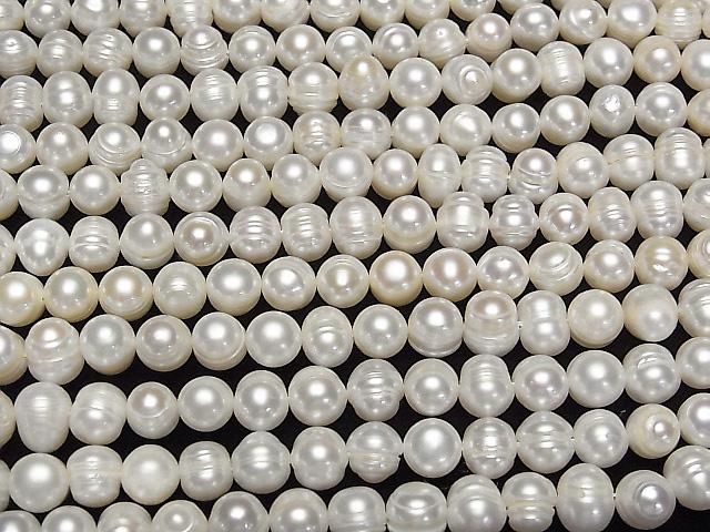 ��ư���ø�忿��AA ������ݥƥ�7~9mm �ۥ磻�� 1Ϣ(��33cm)�β���-3