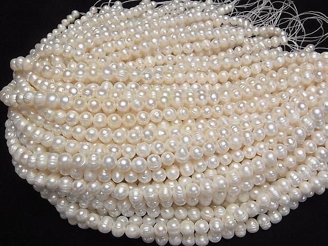 ��ư���ø�忿��AA ������ݥƥ�7~9mm �ۥ磻�� 1Ϣ(��33cm)�β���-4