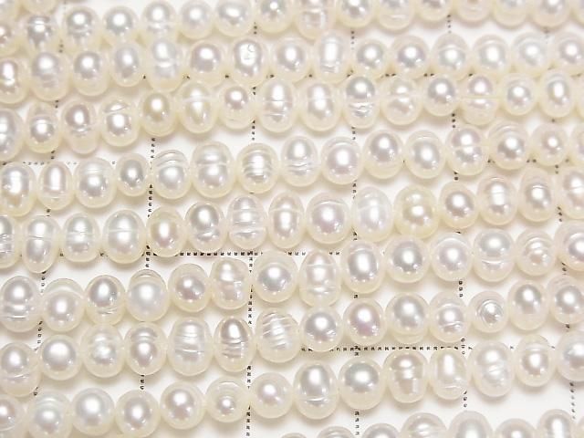 ��ư���ø�忿��AA ������ݥƥ�5mm �ۥ磻�� 1Ϣ(��32cm)�β���-2