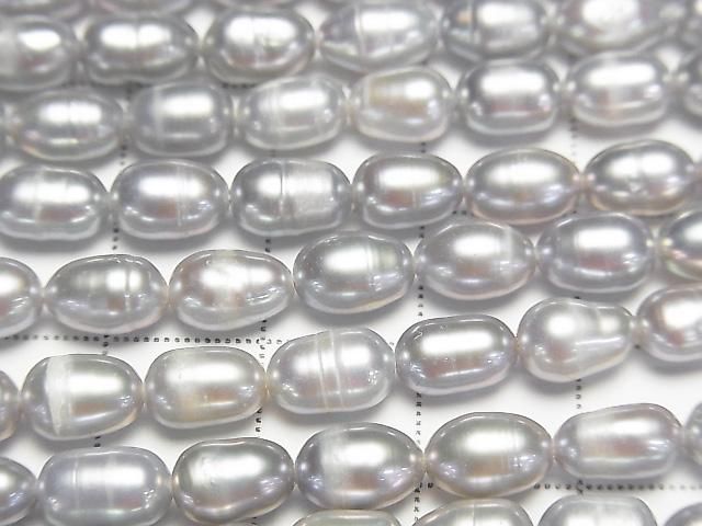 ưø忿AA 饤855mm С 1Ϣ(33cm)β-2