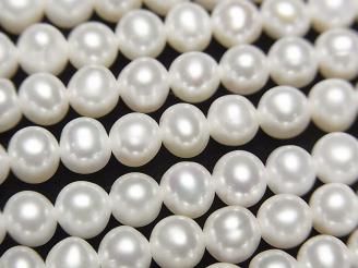 ưø忿AA+ ݥƥ5mm ۥ磻 1Ϣ(37cm)