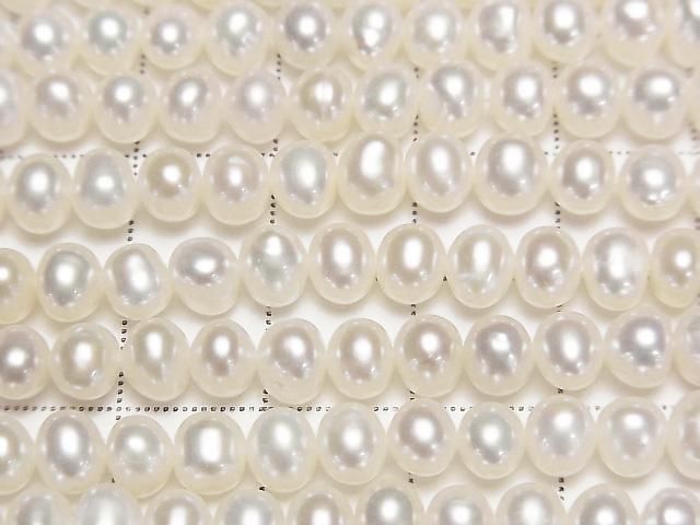 ưø忿AA++ ݥƥ5~6mm ۥ磻 1Ϣ(36cm)β-2