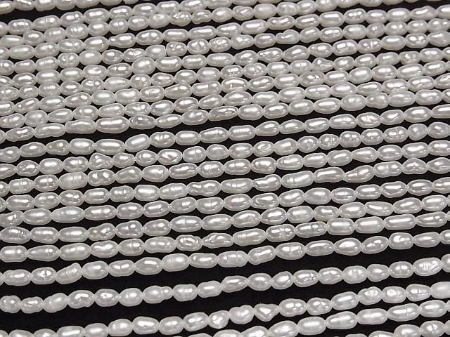 ưø忿ѡAA 饤~Хå42.52.5mm ۥ磻 1Ϣ(35cm)β-3