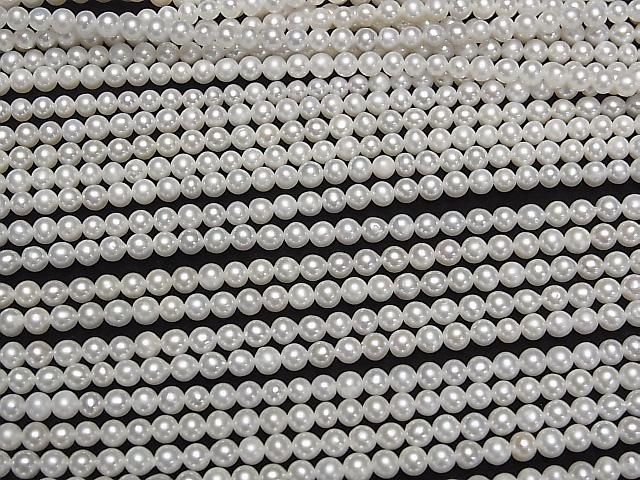 ưø忿AA+ ߥ饦3.5mm ۥ磻 1Ϣ(36cm)β-3