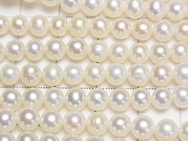 ưø忿AA++ ߥ饦5~5.5mm ۥ磻 1Ϣ(36cm)β-2