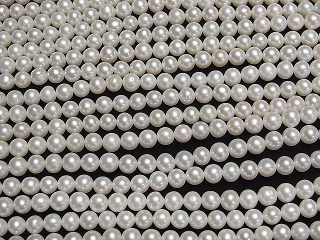 ưø忿AA++ ߥ饦5~5.5mm ۥ磻 1Ϣ(36cm)β-3