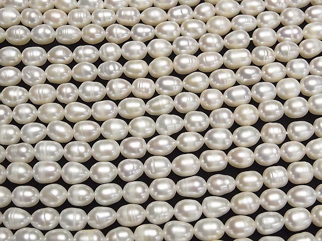 ưø忿AA 饤755mm ۥ磻 1Ϣ(33cm)β-3