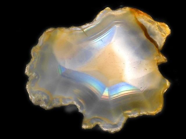 ưۡ1Ρۥꥹ 饤 1 NO.216