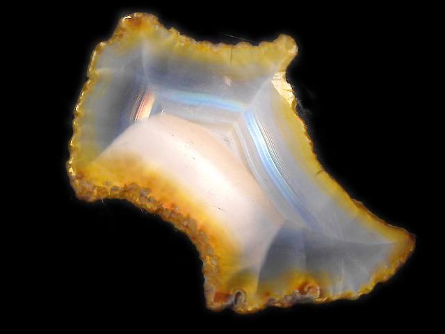 ưۡ1Ρۥꥹ 饤 1 NO.223