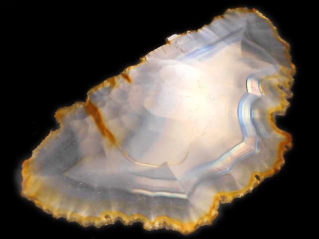 ưۡ1Ρۥꥹ 饤 1 NO.230