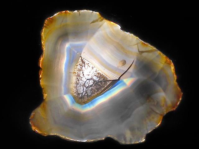 ưۡ1Ρۥꥹ 饤 1 NO.235β