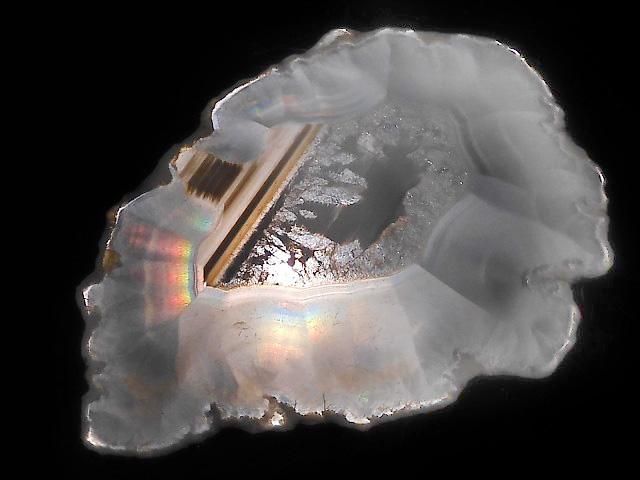 ưۡ1Ρۥꥹ 饤 1 NO.236β