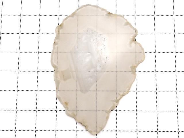 ưۡ1Ρۥꥹ 饤 1 NO.236β-2