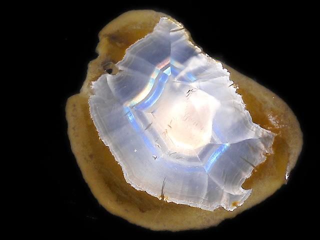 ưۡ1Ρۥꥹ 饤 1 NO.240β