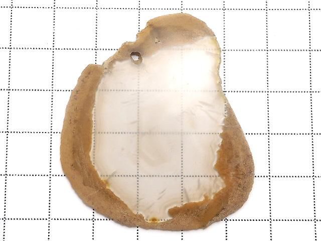 ưۡ1Ρۥꥹ 饤 1 NO.240β-2