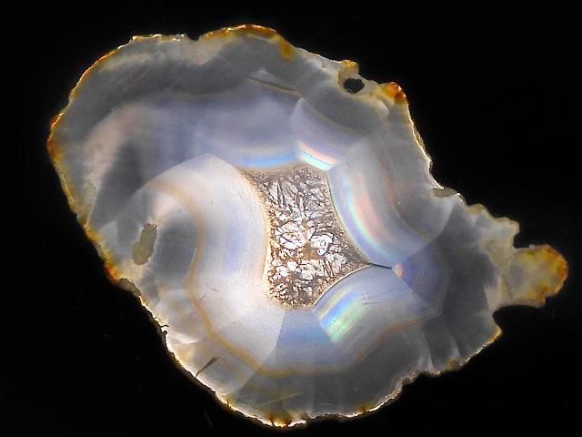 ưۡ1Ρۥꥹ 饤 1 NO.242β