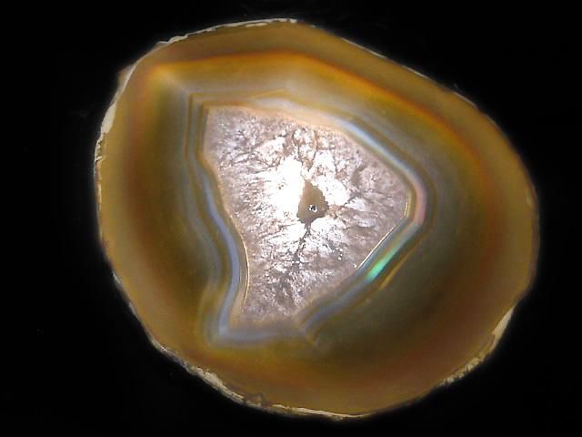 ưۡ1Ρۥꥹ 饤 1 NO.245β