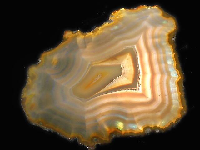 ưۡ1Ρۥꥹ 饤 1 NO.246β