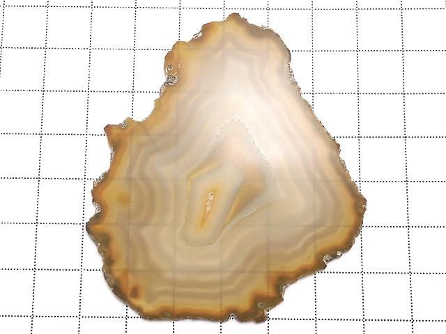 ưۡ1Ρۥꥹ 饤 1 NO.246β-2