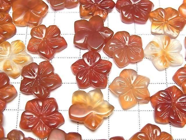 ưۥͥꥢ ե 14mm ȥå׷ 2Ĥβ-3