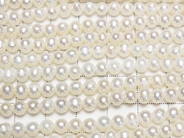 ��ư���ø�忿��AA+ �ݥƥ�5mm �ۥ磻�� 1Ϣ(��32cm)�β���-2