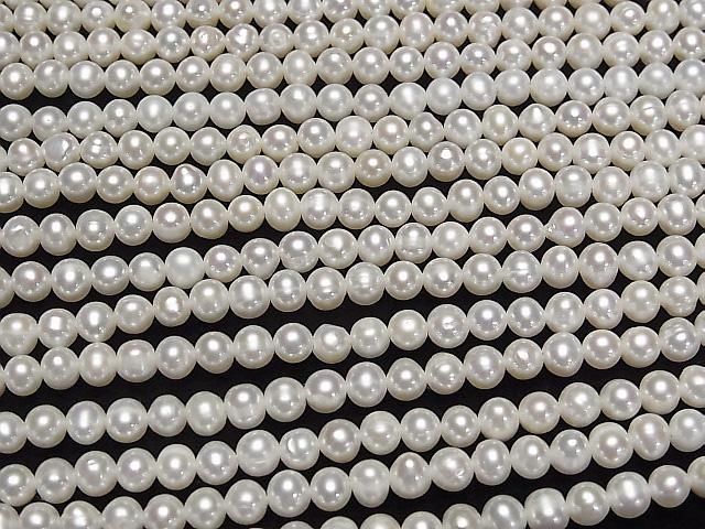 ��ư���ø�忿��AA+ �ݥƥ�5mm �ۥ磻�� 1Ϣ(��32cm)�β���-3