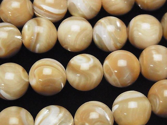 829 ブラウンマザーオブパール×ドットオニキス　天然石　お守り　チャーム　ペア 829 ブラウンマザーオブパール×ドットオニキス 天然石 お守り