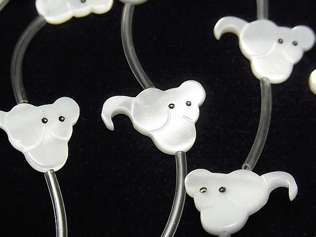 ʼޥ֥ѡAAA ۥ磻 ͤߥ 1Ϣ(14γ)