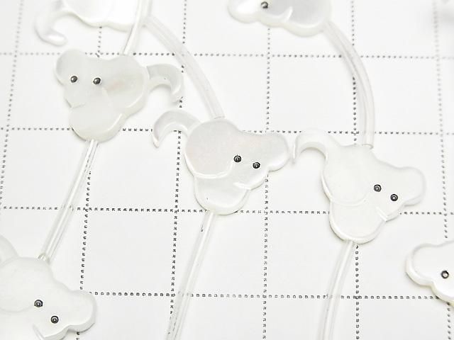 ʼޥ֥ѡAAA ۥ磻 ͤߥ 1Ϣ(14γ)β-2