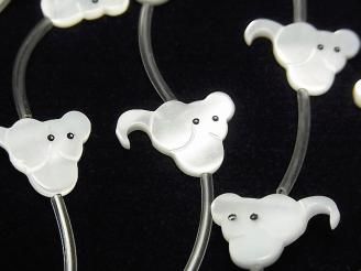 ʼޥ֥ѡAAA ۥ磻 ͤߥ 1Ϣ(14γ)