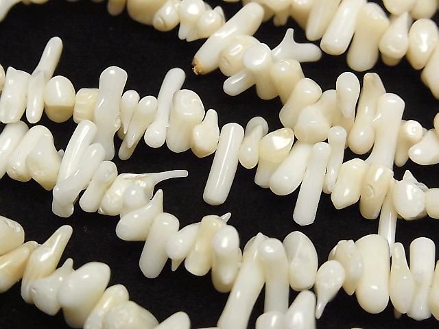 ��ư��ۥۥ磻�ȥ������ ���å�(�ߥ˥���֥�) 1Ϣ(��36cm)