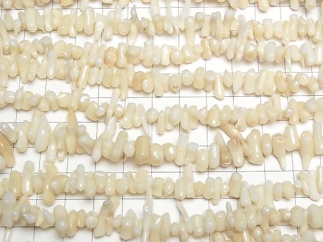 ��ư��ۥۥ磻�ȥ������ ���å�(�ߥ˥���֥�) 1Ϣ(��36cm)�β���-3