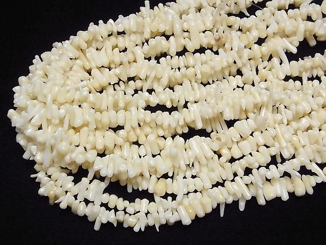 ��ư��ۥۥ磻�ȥ������ ���å�(�ߥ˥���֥�) 1Ϣ(��36cm)�β���-4