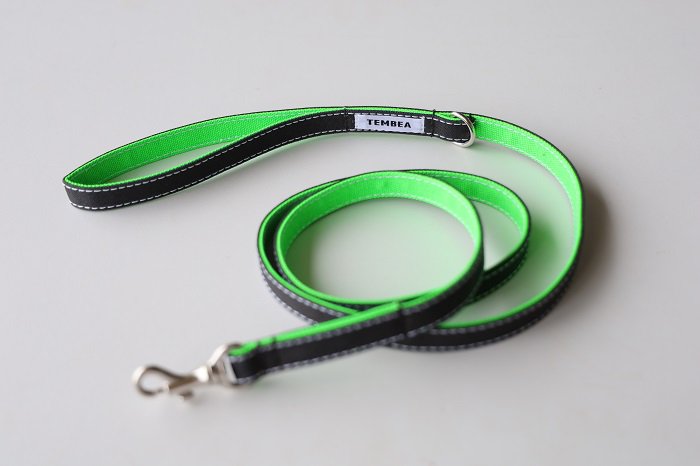 neon dog lead