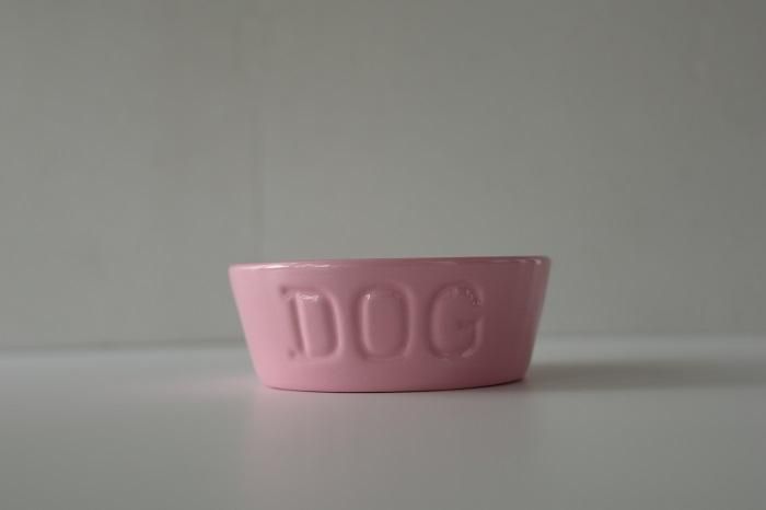 DOGBOWL S