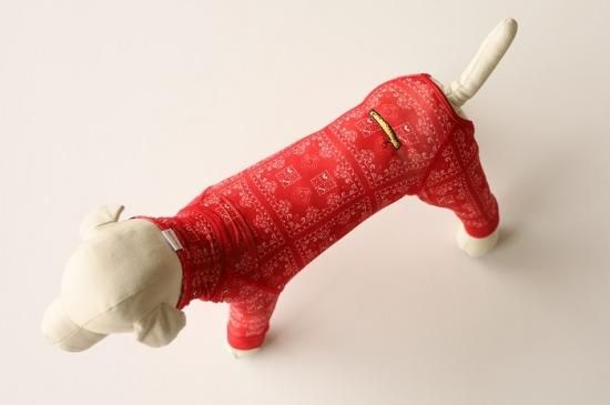 4leg - ドッグデコ | 犬と人の健やかな暮らしのために
