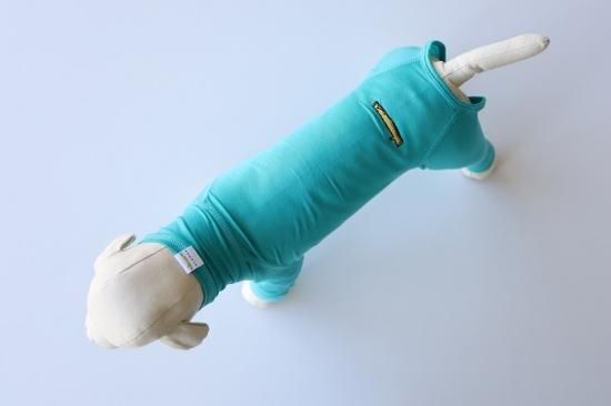 E ジョージ！good dog ４legs ネイビー６号 GEORGE｜ジョージ【happy 4legs / ECO BLUE】 – and-g